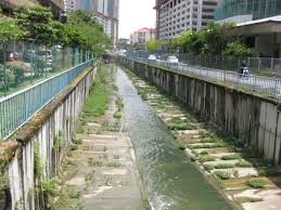 She competed at the 2000, 2004, 2008 and 2012 olympics with the best result of seventh place in the 10 m synchronised platform event in 2012. Sjk C Mun Yee The Community Chest