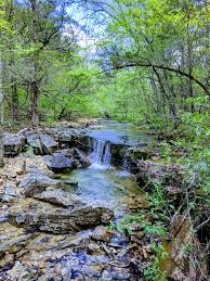 Maybe you would like to learn more about one of these? Hercules Glades Wilderness In The Mark Twain National Forest Hiking