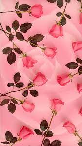 50 beautiful red rose images to download. Pink On Pink Love Rose Roses Hd Mobile Wallpaper Peakpx