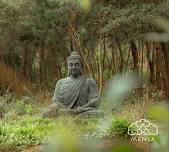 The Wisdom Path Retreat