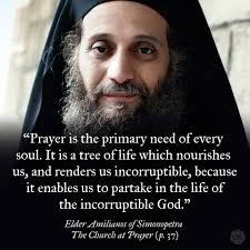 Elder Aimilianos of Simonopetra ☦️ #orthodoxy #orthodoxchristianity  #christianity #youthministry #christianityquotes
