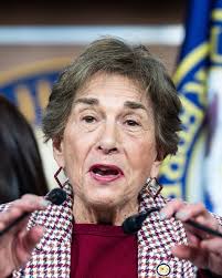 Young voters' indignation at older leaders spurs Democratic primary  challenges