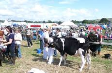 Cartmel Show