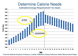 How Many Calories Do I Need Cardiology Diet