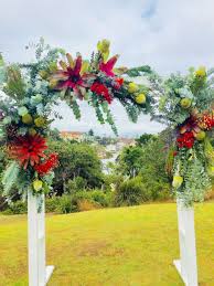 We don't compare all products in the market, but we're working on it! Recent Blog Posts By Janet Lomax Weddings I Do