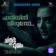Paathiyil Theernnuvo (From "Chathurmugham")