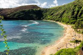 Once cleared, they are free to travel to other islands without further restriction. Hawaii Lifts Testing Requirement For Fully Vaccinated U S Travelers Conde Nast Traveler
