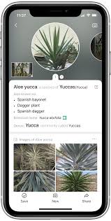 Snap best free plant identification app 2020. 7 Best Plant Identification Apps For Your Home Garden Wild Plants