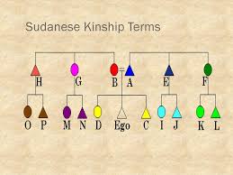 Chapter 8 Kinship And Non Kin Organization Creating Social