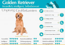 A forum for our new members, and their golden retrievers to introduce themselves. Golden Retriever Steckbrief Rasseportrait Alle Informationen