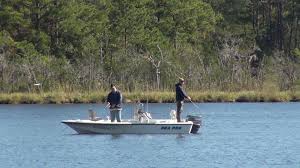 Maybe you would like to learn more about one of these? Visit Jacksonville Nc Fall Fishing On The New River In Jacksonville Facebook