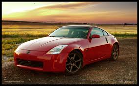 Wet Dog Photo Dippy Z No 2 Nissan 350z Wallpaper