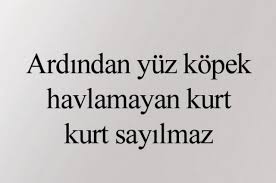 Aykiri Atasozleri Atasozleri Ilham Verici Sozler Guzel Soz