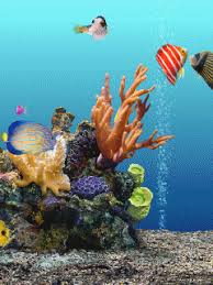 Download 1398 hi cliparts for free. Mobile Wallpapers Hd New 2020 Gif Download