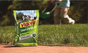 These formulas are less likely to leach into groundwater.) follow the directions on the fertilizer bag; Vigoro Lawn Fertilizer With Assurance Particle Technology The Home Depot Community Lawn Fertilizer Lawn Planting Tools