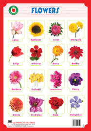 'personality is to a man what perfume is to a flower' and other great sayings. Flower Flower Names In Telugu And English