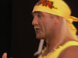 10,810 Hogan Stock Videos, Footage, & 4K Video Clips