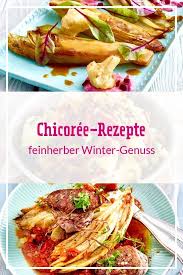 Chicoree Rezepte Feinherber Winter Genuss Lecker Rezepte Chicoree Rezepte Lecker