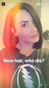 Lovato continued the wild hairstyles with ombré mermaid ends and her natural hair at the roots. Demi Lovato Chopped Her Hair Into A Short Bob
