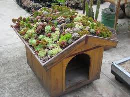 No Siempre El Mejor Lugar Para Un Jardin Es El Piso Puedes Usar Hasta La Casa Del Perro Amenagement Jardin Toit Vegetalise Jardinage Urbain