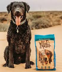 Food allergy or food intolerance? Best Dog Food For Allergies 2021 Top 10 Dry Dog Food Grain Free