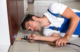 Amera Sun City Pest Control Providing You A Pest Free World