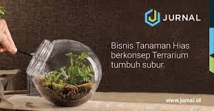 Terarium merupakan sebuah media baru dalam kegiatan memelihara tumbuhan. Bisnis Tanaman Hias Berkonsep Terrarium Tumbuh Subur Jurnal