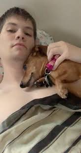 My little rescue baby loves to come and interrupt work from home. We named  her dumpling but she is so tint i keep calling her mini 💗🥰