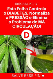 Cha De Canela De Velho Beneficios E Maleficios Folha Manga Esta Folha Controla O Diabetes Normaliza A Pressao E Elimina O Problema De Ma Circulacao Isso Poucas Diabetes Remedies Diabetes Medicine