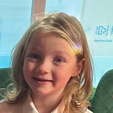 Fundraiser for Emily Elwood by Laurie Ellis : Fighting For Freddie