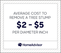 Compare homeowner reviews from 12 top atlanta tree stump removal services. 2021 Tree Stump Removal Costs Avg Grinding Prices Homeadvisor