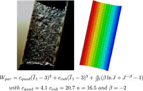 However, some authors include other structures and tissues within the. Material Model Of Lung Parenchyma Based On Living Precision Cut Lung Slice Testing Sciencedirect
