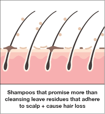 But as you get older, your rate of growth slows (and you have to step up your care routine if you want to keep your hair, brows, and lashes in optimum health). How To Keep Hair Healthy A Healthy Way To Shampoo