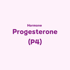 Image result for Progesterone
