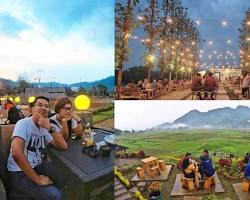  bertema kelautan di Festival Dermaga Kuliner Malang