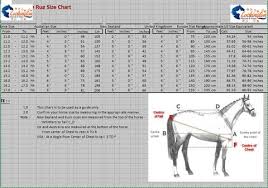 Charts Rug Size Chart Buy High Quality Horse And Pet