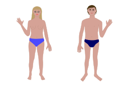 It is composed of many different types of cells that together create tissues and subsequently organ systems. Human Body Man And Woman Free Vector Download It Now