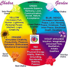 Chakra Garden Chakra Meditation Chakra Energy Healing
