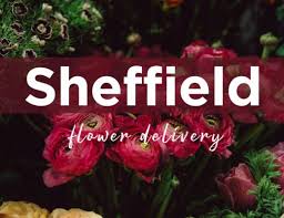 The 8 Best Options For Same Day Flower Delivery In Dublin Flower Delivery Reviews