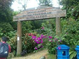 Keep in mind that it gets busier on weekends and in the evening. Bukit Gasing Forest Reserve Kuala Lumpur Aktuelle 2021 Lohnt Es Sich Mit Fotos Tripadvisor