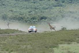 A world motor sports council vote on the 2020 world rally championship calendar, which could add the safari rally back on to the roster, is expected to happen later this week. Jck6uzgals6bnm