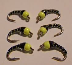 Details About Zebra Midge Fl Chart Hot Bead And Black New 2017 18