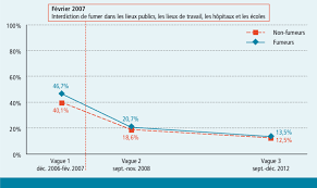 Dans plus de 40 pays, il ne cesse pourtant d'augmenter. Pourcentage De Fumeurs Et De Non Fumeurs Ayant Vu Des Gens Fumer Sur Download Scientific Diagram