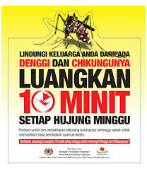 Semua anggota mayarakat hendaklah bekerjasama dengan pihak berkuasa untuk menangani masalah ini. Pengalaman Pertama Kali Diserang Demam Denggi
