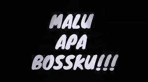 Každý den jsou přidávány tisíce nových kvalitních obrázků. Malu Apa Bossku Hilang Rasa Malu Malapetaka Kepada Bangsa Sarawakvoice Com