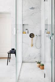 Long Skinny Shower Top Bathroom Design Bathroom Design Bathroom Interior Design