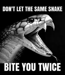 Pin By Aden Williams On Well Said Snake Meme Snake Bites Spiders And Snakes