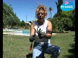 We did not find results for: Comment Faire Un Bouturage De Laurier Rose Youtube