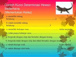 Klasifikasi dikotom dan kunci determinasi. Kunci Determinasi Tumbuhan Mangga Dan Jagung Kunci Ujian