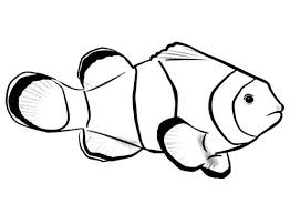 Hang around with this mischievous monkey blast off into outer space to explore new frontiers. 29 Clown Fish Coloring Pages Ideas Fish Coloring Page Clown Fish Coloring Pages